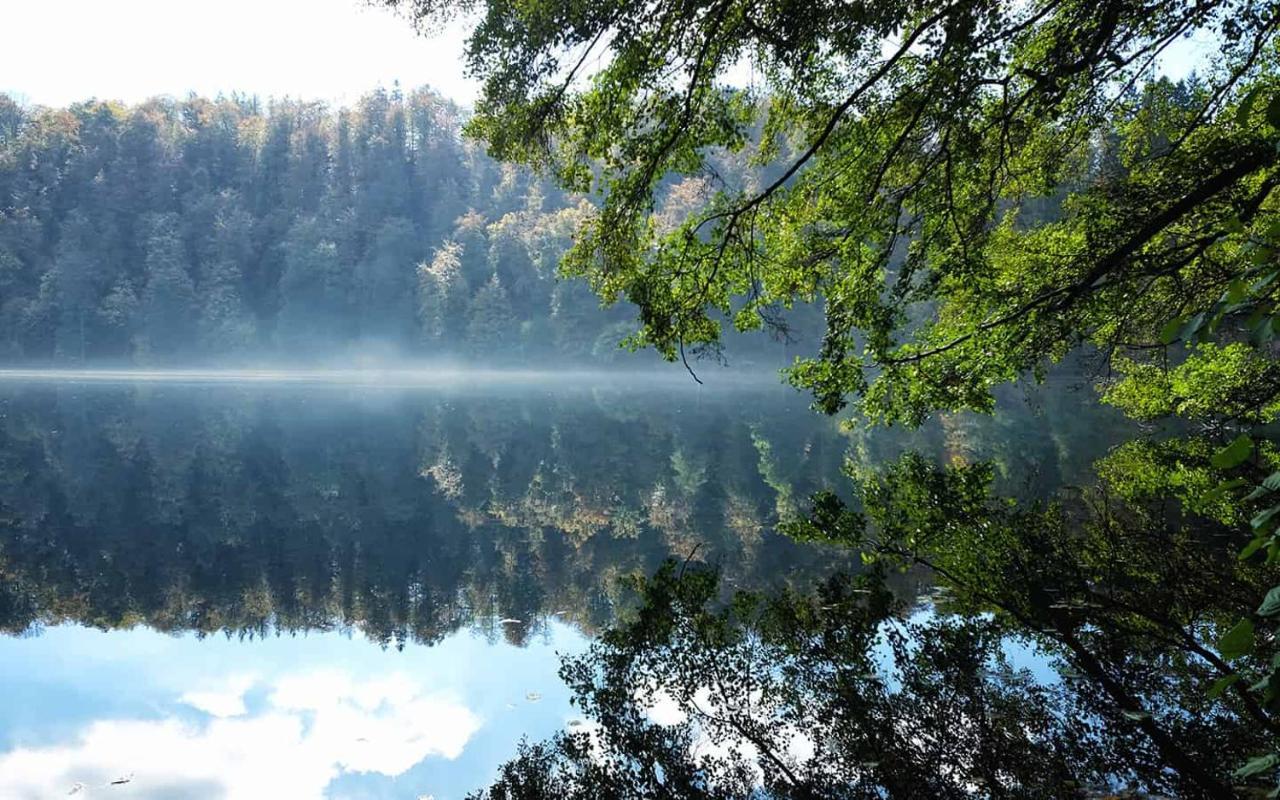 Ferienwohnung In Der Vulkaneifel "Opp Der Holl" Brockscheid Екстер'єр фото