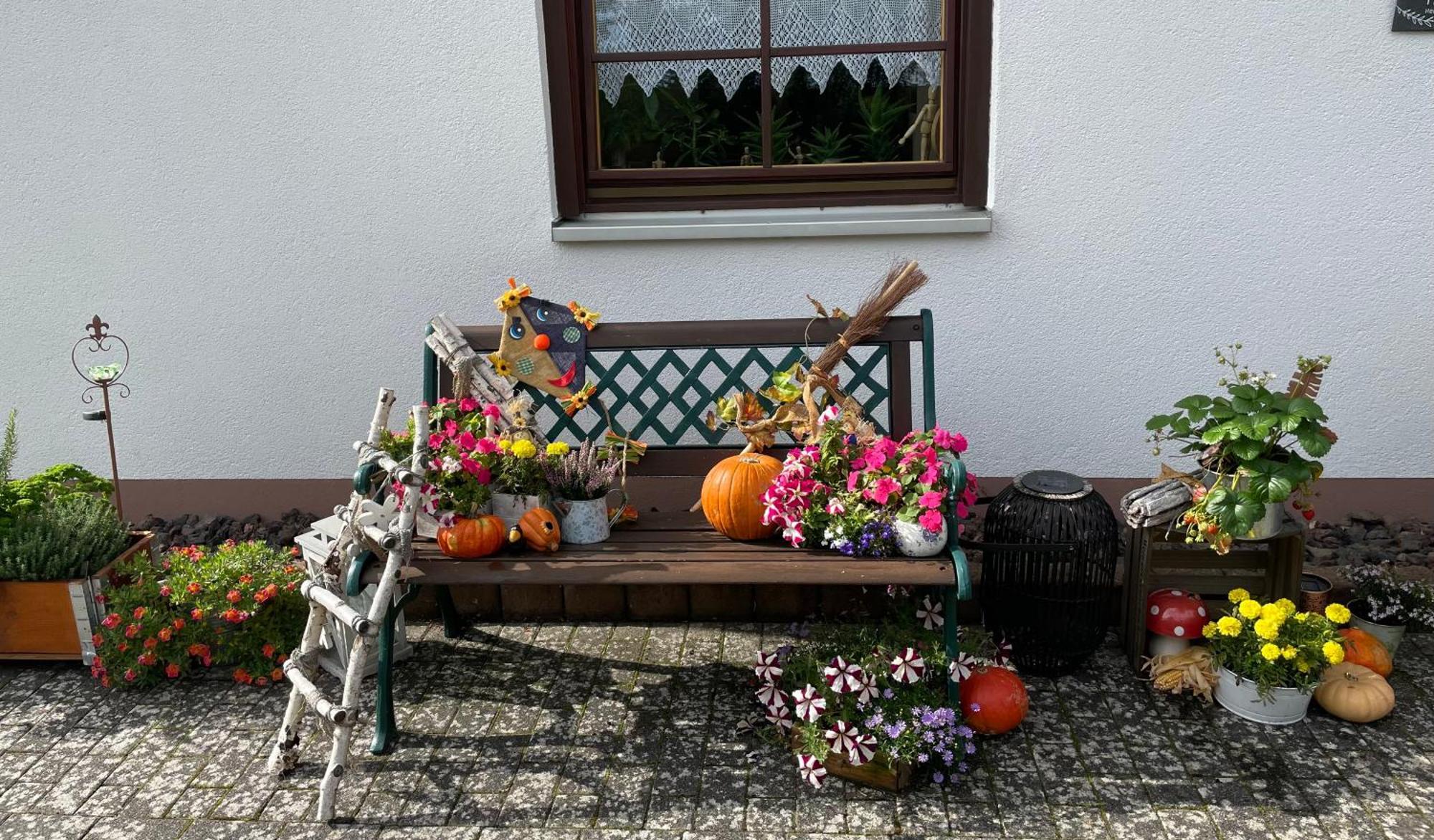 Ferienwohnung In Der Vulkaneifel "Opp Der Holl" Brockscheid Екстер'єр фото